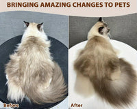 Rechargeable Pet Steam Brush